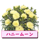 ��ͽ��� ����� �ץ쥼��� 2026ǯ ���٤� �����͡������ 5��ȭ ����̵�� �����ƥ��դ� ̵����åԥ� ���ե� �֤ȥ������� ���� 50�� 60�� �֤�����