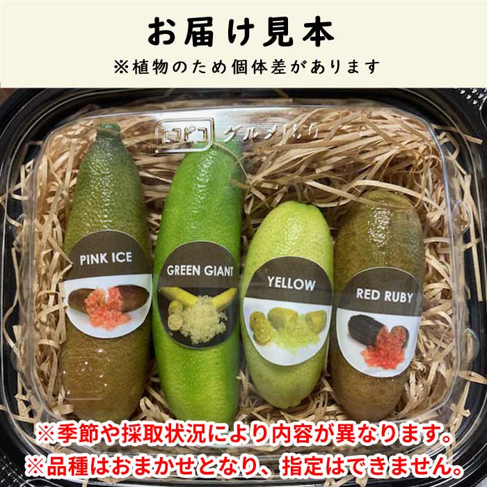 �ե��󥬡��饤�� �̼����� ���ޤ��� �ʼ�MIX 50g ���� ����ӥ��饤�� �ե��󥬡��饤�ॸ��ѥ� ����ľ�� ����̵��