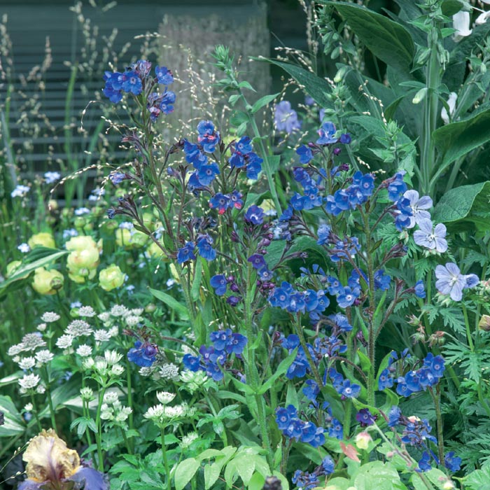 ͽ۽ɺ  塼 쥢 9󥰥ݥå ι⤤ ܡǥ ä󤽤 ¿ǯڣ沼ܤ缡ȯ