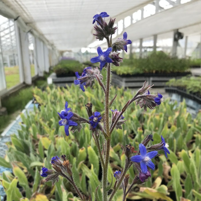 ͽ۽ɺ  塼 쥢 9󥰥ݥå ι⤤ ܡǥ ä󤽤 ¿ǯڣ沼ܤ缡ȯ