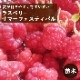  饺٥꡼   ޡեƥХ åɥ饺٥꡼ 12ݥå ̼ ̼ ٤꡼ berry   ڤ ̼  եܥ
