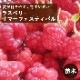 饺٥꡼   ޡեƥХ åɥ饺٥꡼ 12ݥå ̼ ̼ ٤꡼ berry   ڤ ̼  եܥ 