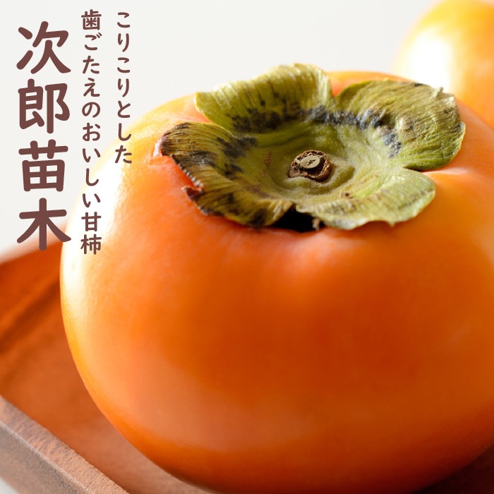 完全甘柿 貴秋(キシュウ)PVP柿苗木