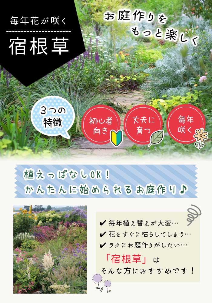 �ɺ��� �� ������������ 9������󥰥ݥå� ���饹 �ե������� ����ä��󤽤� ¿ǯ��