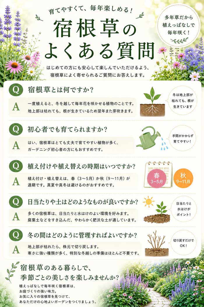 �ɺ��� �� ������������ 9������󥰥ݥå� ���饹 �ե������� ����ä��󤽤� ¿ǯ��