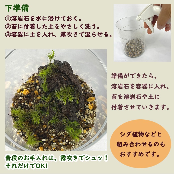 5ʬ�ǤǤ��롪 ���åݥ��� �ݥƥ�ꥦ�� ���� ���å� �� �ϴ��� �ƴ� ���դ� �� DIY �鿴�Ը��� ���������� ���� �Ϥ���Ƥ� �� �Ť��ꥭ�å� ����̵�� �֤�����