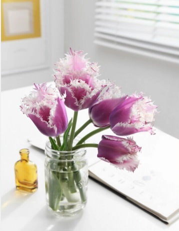 球根 秋植え チューリップ クミンズ 4球 芳香性 予約商品 早割価格 10月後半より順次発送 花の球根 秋に植える球根 チューリップ 花の大和オンラインショップ 球根 秋植え チューリップ クミンズ 4球 芳香性 予約商品 早割価格 10月後半より順次発送 花の球根 秋に植える球根 チューリップ 花の大和オンラインショップ