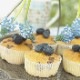�֥롼�٥꡼ ���� 2�� ���å� ��ӥåȥ����� �� �ۡ���٥� 1�� + ���ǥ��� 1��=���2�ġ� 12����ݥå��� ��������2�糧�å� �̼� ���̼� �֤롼�٤꡼ �٥꡼ blue blueberry  ����̵��
