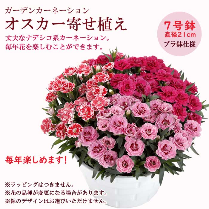 ��ͽ������ ����� �ץ쥼��� 2026ǯ 2�����פ������٤� �����͡������ �� �������� or2�������۴󤻿��� �礭��7��ȭ ����̵�� ȭ�� 50�� 60�� �֤�����