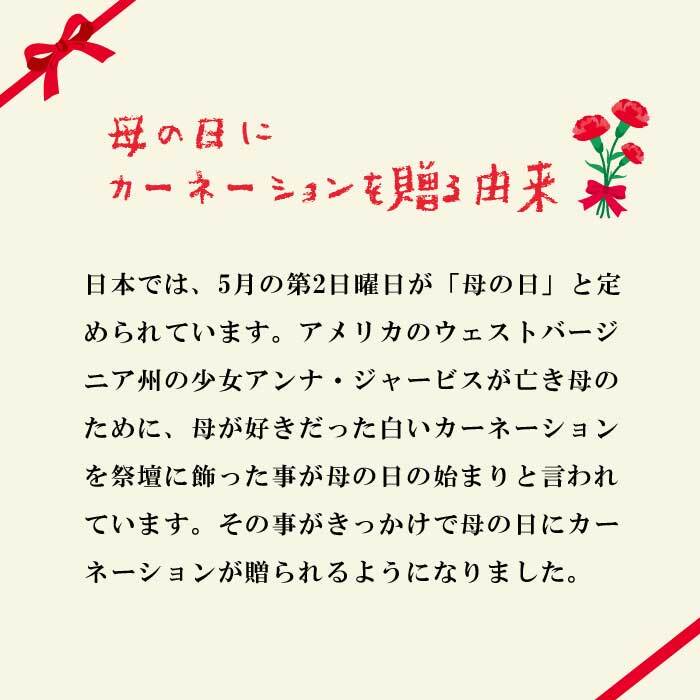 ��ͽ������ ����� �ץ쥼��� 2026ǯ 2�����פ������٤� �����͡������ �� �������� or2�������۴󤻿��� �礭��7��ȭ ����̵�� ȭ�� 50�� 60�� �֤�����