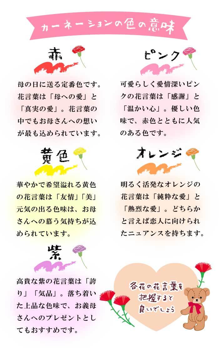 ��ͽ������ ����� �ץ쥼��� 2026ǯ 2�����פ������٤� �����͡������ �� �������� or2�������۴󤻿��� �礭��7��ȭ ����̵�� ȭ�� 50�� 60�� �֤�����