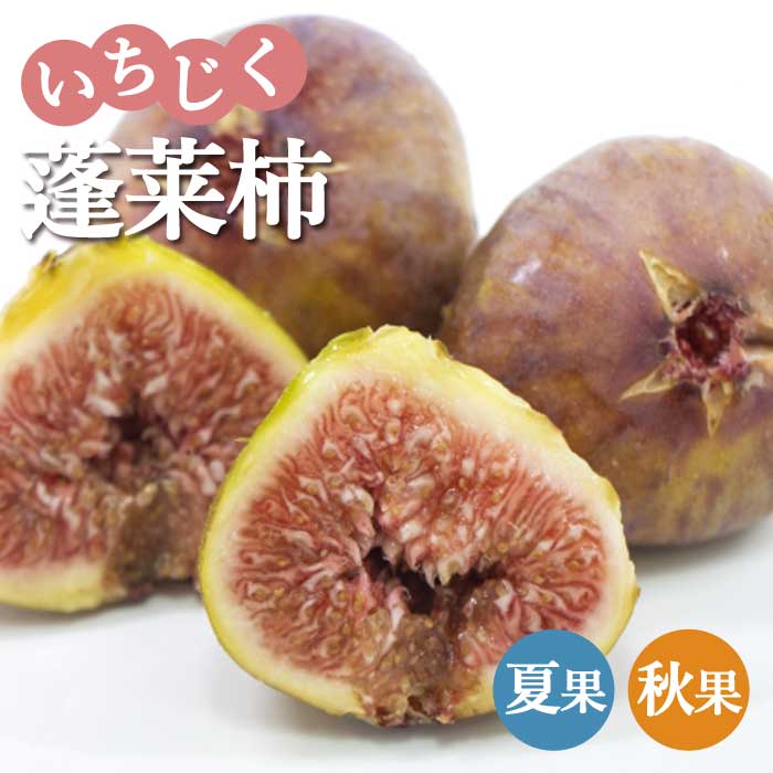 イチジク いちじく 蓬莱柿 ほうらいし 早生日本種 2年生苗 15cm