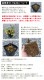 �ɺ��� �� �������������� ���ѥå����󥻥å� 9������󥰥ݥå� �뤵�˶��� �ѽ��� ����ä��󤽤� ¿ǯ�� 