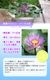 ������� �褯�餯Ǯ�ӥ������ �ѡ��ץ�� �� �ʼ浪�ޤ��� �� 12cm�ݥå� ��ϡ ��ּ� ���տ�ʪ ������ʪ �뤵�˶���