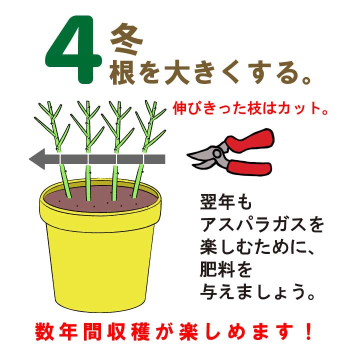 �����ѥ饬�� �� Ķ����� 1�� ��ǯ���ϲ�ǽ �Ƿ���� �Ƿ����� ��� �� �����ѥ� �����ڱ� �֤�����