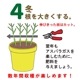 �����ѥ饬�� �� Ķ����� 1�� ��ǯ���ϲ�ǽ �Ƿ���� �Ƿ����� ��� �� �����ѥ� �����ڱ� �֤�����