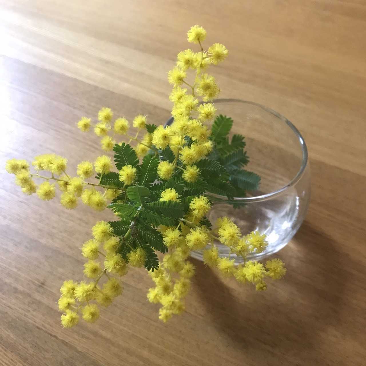   ߥ⥶  ߥ⥶ȭ  13.5ݥå ܥĥ꡼ ǥ˥   ̵ 