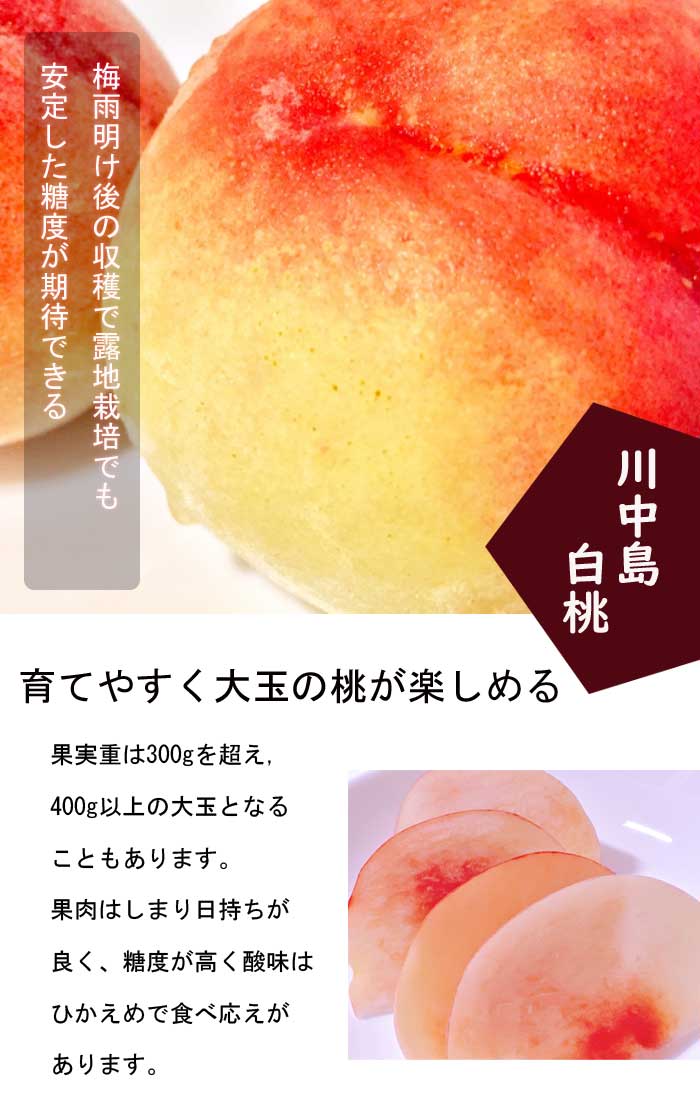 �� �� ���������� 15����ݥå� ����ʤ����ޤϤ��Ȥ� ���� ���� ��ʴ��ɬ�� �̼� ��  ����̵�� ��� ��� ���� �����ǥ˥� ���