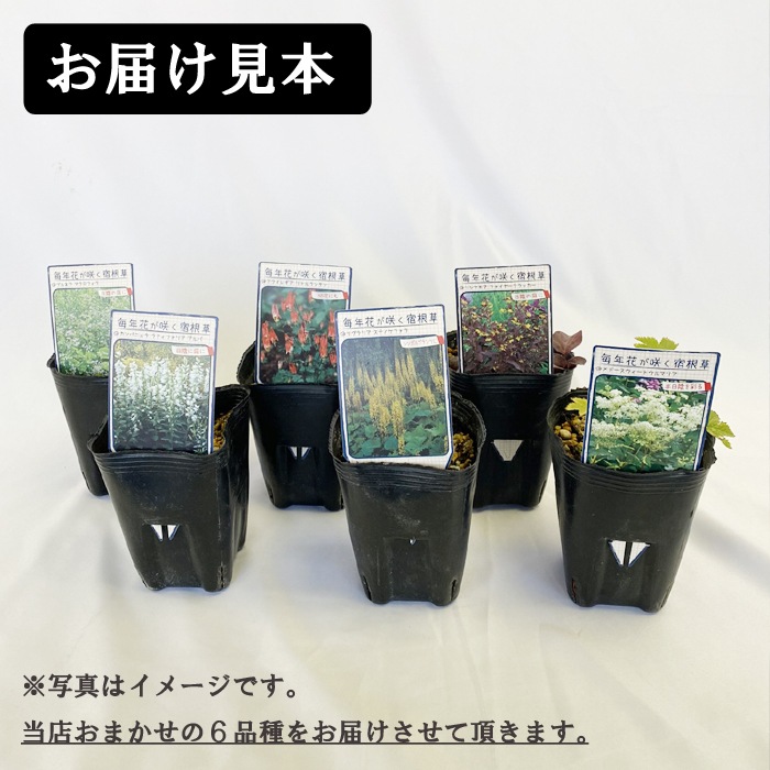 ��ͽ��۽ɺ��� �� ���å� 9������󥰥ݥå� ���� Ⱦ���� �������ɥ����ǥ� 6�ʼ� ���פ餤 �������� ����̵���ڣ�������ܤ��缡ȯ����