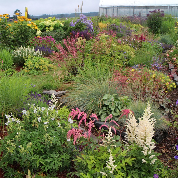 ��ͽ��۽ɺ��� �� ���å� 9������󥰥ݥå� ���� Ⱦ���� �������ɥ����ǥ� 6�ʼ� ���פ餤 �������� ����̵���ڣ�������ܤ��缡ȯ����