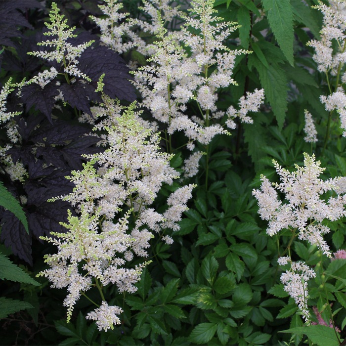 ��ͽ��۽ɺ��� �� ���å� 9������󥰥ݥå� ���� Ⱦ���� �������ɥ����ǥ� 6�ʼ� ���פ餤 �������� ����̵���ڣ�������ܤ��缡ȯ����