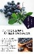 �֥롼�٥꡼ ���� ��� ������ϥ��֥å���� �ߥ��ƥ� 12����ݥå� �̼� ���̼� berry ��� �����ǥ˥� ���� �������� ˭�� �ʼ�