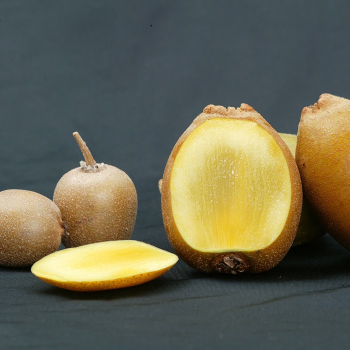 ������ �� �����ܥ����������å� 12����ݥå� ���� 1ǯ�� 2�ܥ��å� �������� �ե롼�� �̼�  ���� ����̵��