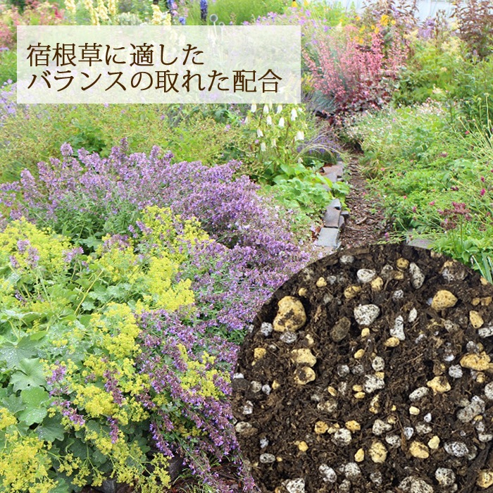  ɺ  14  ɺ ɺ    ǥ˥ ؤ 