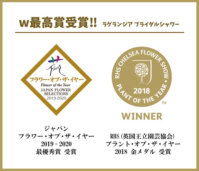 ��ͽ��� ����� 2026 �饰��󥸥� 5��ȭ ȭ���� �֥饤���륷�� ���ꥹ�����������2 �����ǥ꡼�� �������� �������� ���۲� ���ե� ����̵��