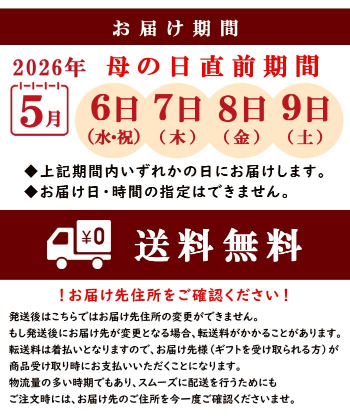 ��ͽ��� ����� 2026 �饰��󥸥� 5��ȭ ȭ���� �֥饤���륷�� ���ꥹ�����������2 �����ǥ꡼�� �������� �������� ���۲� ���ե� ����̵��