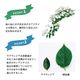 ��ͽ��� ����� 2026 �饰��󥸥� 5��ȭ ȭ���� �֥饤���륷�� ���ꥹ�����������2 �����ǥ꡼�� �������� �������� ���۲� ���ե� ����̵��