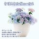 ��ͽ��� ����� 2026 �饰��󥸥� 5��ȭ ȭ���� �֥饤���륷�� ���ꥹ�����������2 �����ǥ꡼�� �������� �������� ���۲� ���ե� ����̵��