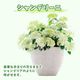 ��ͽ��� ����� 2026 �饰��󥸥� 5��ȭ ȭ���� �֥饤���륷�� ���ꥹ�����������2 �����ǥ꡼�� �������� �������� ���۲� ���ե� ����̵��