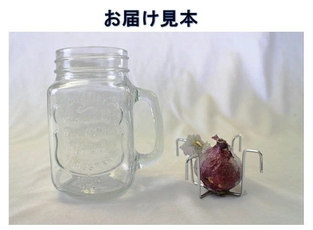 ҥ䥷  å ɥ󥭥󥰥㡼    庬 å ƥꥢ Ѿ ֤