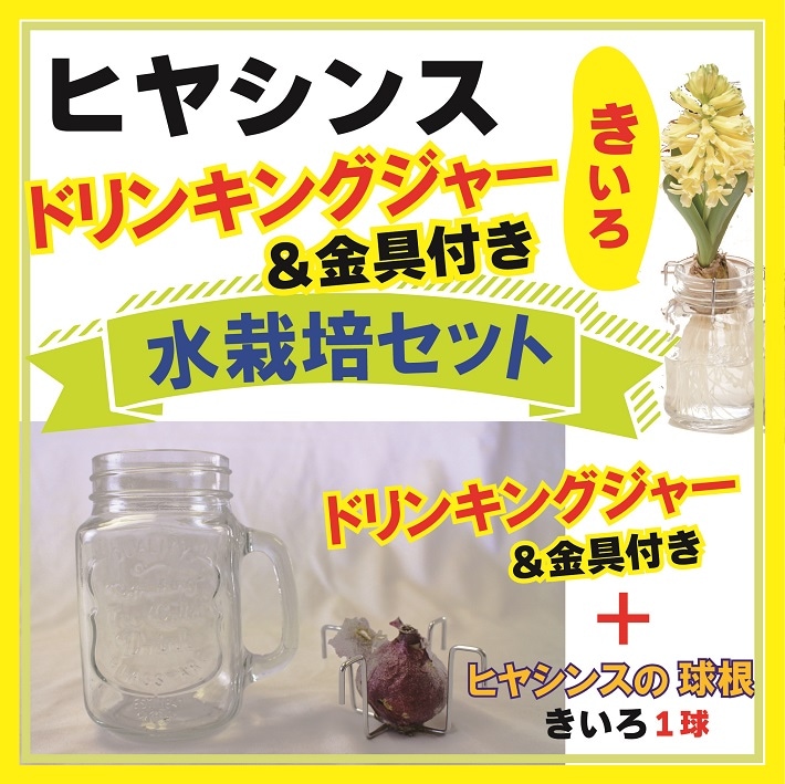 ҥ䥷  å ɥ󥭥󥰥㡼    庬 å ƥꥢ Ѿ ֤