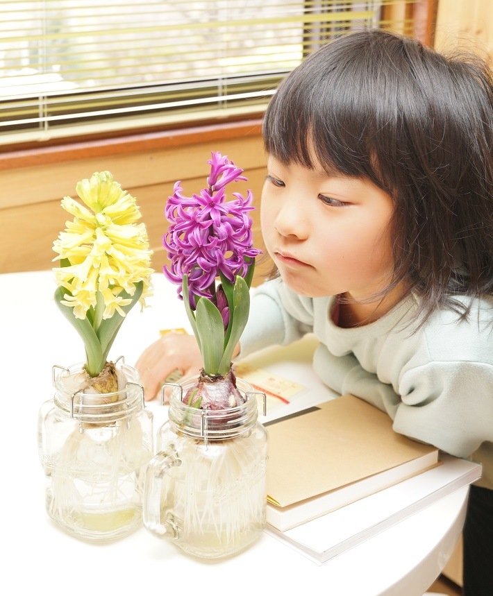 ҥ䥷  å ɥ󥭥󥰥㡼   ֥롼 庬 å ƥꥢ Ѿ ֤