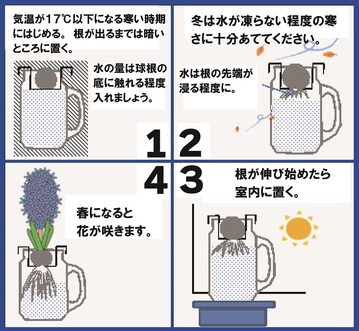 ҥ䥷  å ɥ󥭥󥰥㡼   ֥롼 庬 å ƥꥢ Ѿ ֤