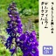 �ɺ��� �� �ǥ�ե��˥��� �������֥롼 9������󥰥ݥå� �ڤ�ָ��� ����ä��󤽤� ¿ǯ�� �ڥ�˥���