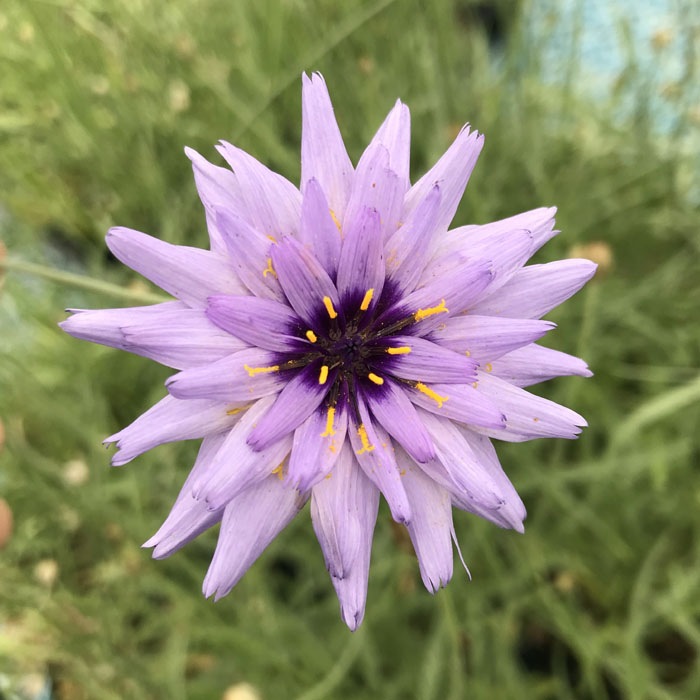 ��ͽ��۽ɺ��� �� �����ʥ󥷥� ������쥢 ��������󥰥ݥå� �����㤤 ����ä��󤽤� ¿ǯ�� �ڥ�˥��� �ڣ�������ܤ��缡ȯ����