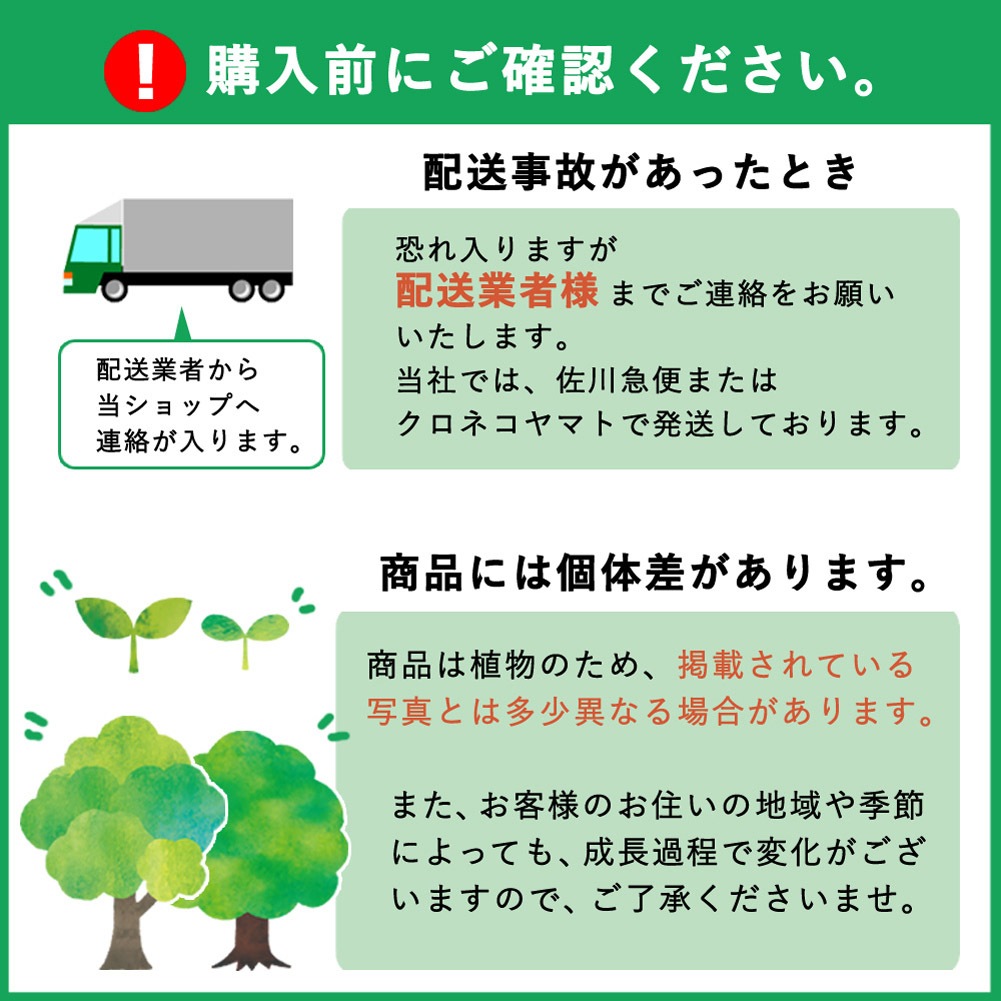 ��10��ܤ��ȯ�������� �����ǥꥢ ��꡼ �� �饤�ҥȥ�ˡ� �� �����ɴ�� �庬 2�� ��� �ڤ䤫 yellow �� ��� lily ɴ�� �֤�����