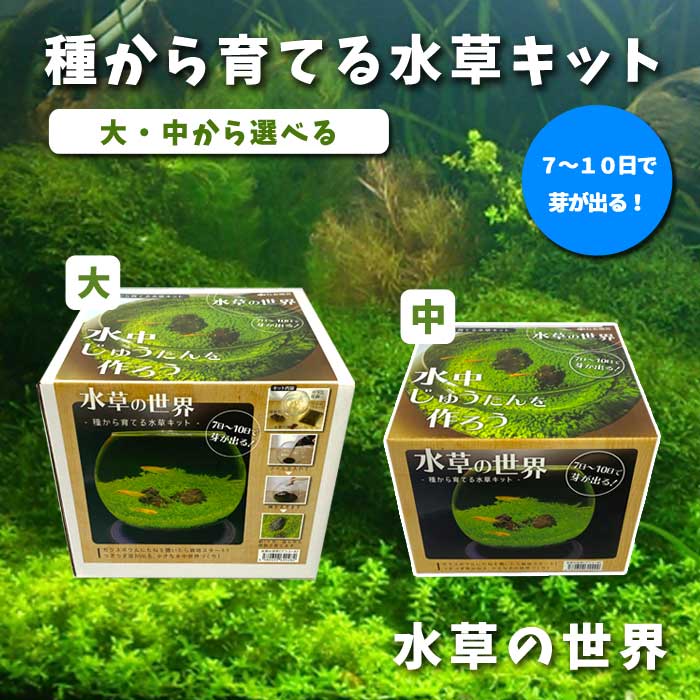 �狼���Ƥ� ���� ���å� �� ���饹�ƴ� + �ϴ��� + ������(�֥�å�) + ����μ� �� ���𤸤夦���� ��������� 7��10���ǲ꤬�Ф� ��ñ ���ݥ��å� ����̵��