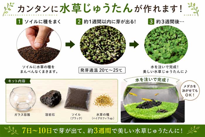 �狼���Ƥ� ���� ���å� �� ���饹�ƴ� + �ϴ��� + ������(�֥�å�) + ����μ� �� ���𤸤夦���� ��������� 7��10���ǲ꤬�Ф� ��ñ ���ݥ��å� ����̵��