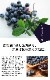 ֥롼٥꡼  ϥ֥å ޥ 12ݥå ̼ ̼ berry  ǥ˥  