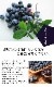 ֥롼٥꡼  ӥåȥ 饦 12ݥå ̼ ̼ berry  ǥ˥ 