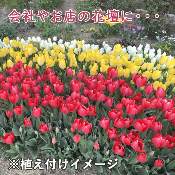 ����̵�� ��ʡȢ 2026 �۹��30���Ϥ��� ���塼��å� �庬 �˽պ餭�庬���դ��� ���㤤�� �������� ʡ�� ���̸��� �֤�����