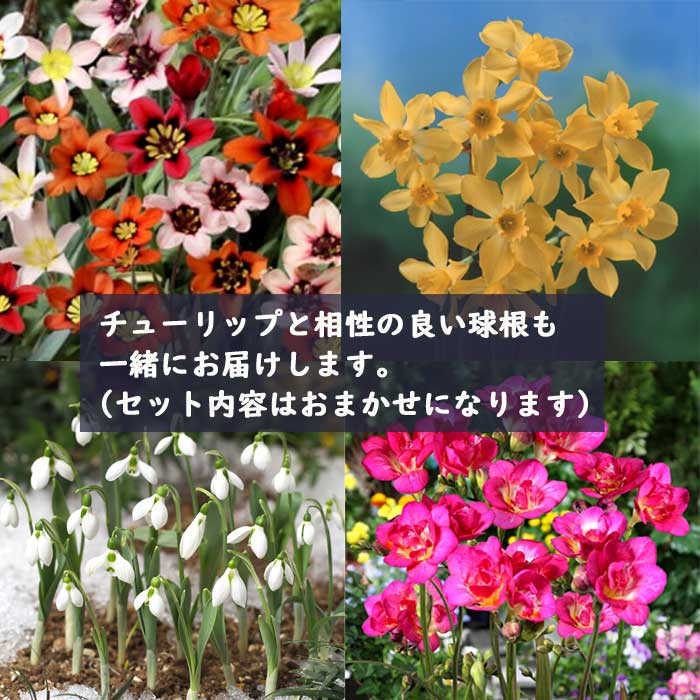 ����̵�� ��ʡȢ 2026 �۹��30���Ϥ��� ���塼��å� �庬 �˽պ餭�庬���դ��� ���㤤�� �������� ʡ�� ���̸��� �֤�����