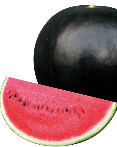 ��ͽ���������� ��� �� 3�� ���å� ������ �֥�å����� ������� ������ 9����ݥå� �䤵�� �����ڱ� ����̵���ڣ����Ⱦ���缡ȯ����