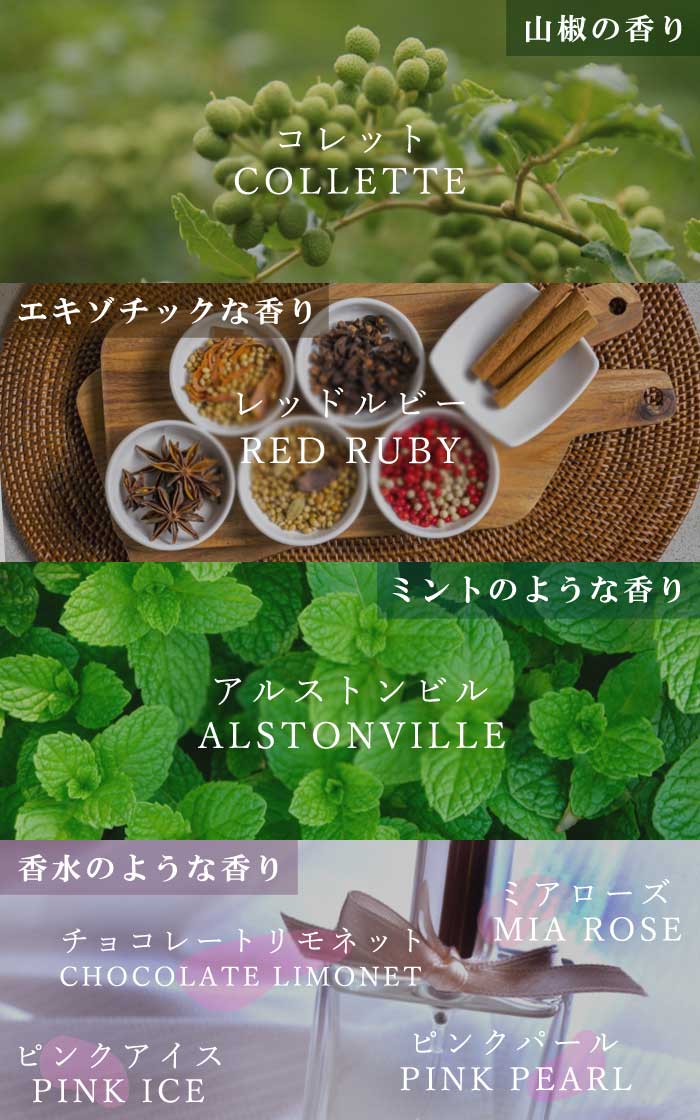 �ե��󥬡��饤�� ���� ���󥷥㥤�󥤥����� 15���ȭ ���� ������ ���ȷ���� ���� ����ӥ��饤�� �ե��󥬡��饤�ॸ��ѥ� 1ǯ���� ����̵��