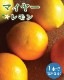   ޥ䡼 13.5󥰥ݥåȡ15ݥå    ȷ lemon ̵  ͵ ǯ