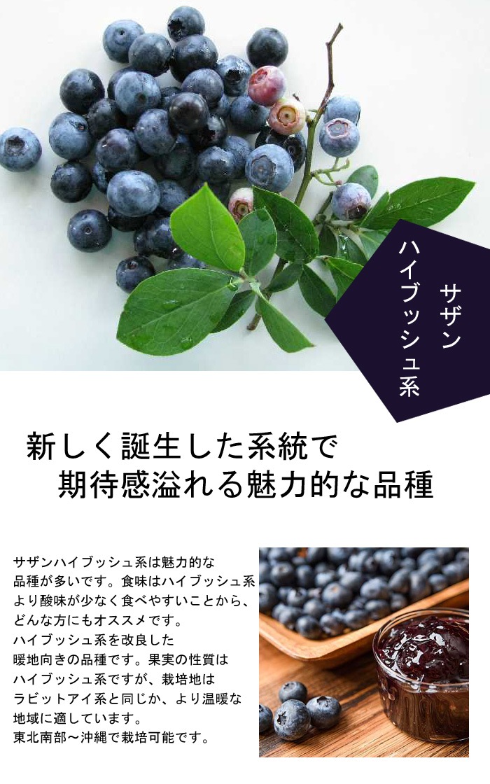 �֥롼�٥꡼ ���� ���å� �� ������ϥ��֥å���� �֥롼�٥꡼ ���� 2�� �� �֥롼�٥꡼ �� �� �� ���� �� ȭ���� �� �ץ�ȭ �� ȭ�� �� �����ǥ˥� ��� �̼� ���̼� ����̵��